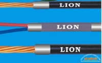 DÂY ĐIỆN LION