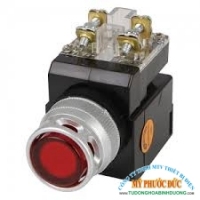 NÚT NHẤN CÓ ĐÈN CR-254