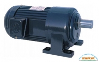 MOTOR HỘP SỐ GIẢM TỐC TRỤC THẲNG